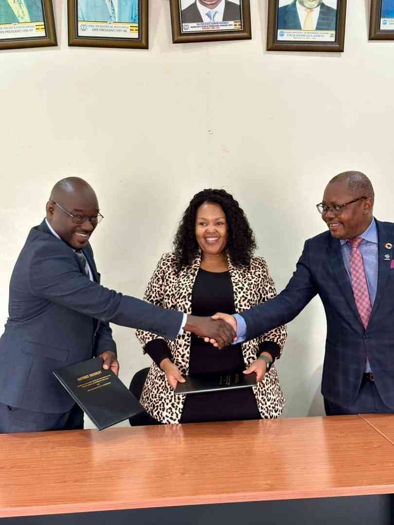 Africa should harness engineering to drive development expert