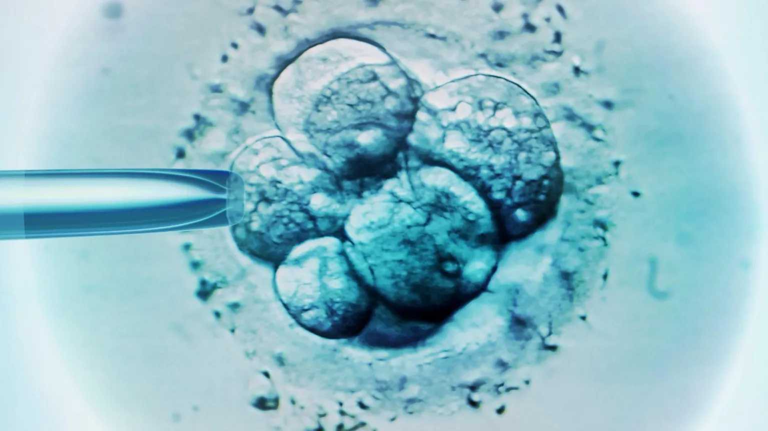 Like a sci-fi movie US baby born from 30-year-old frozen embryo breaks record - NewZimbabwecom