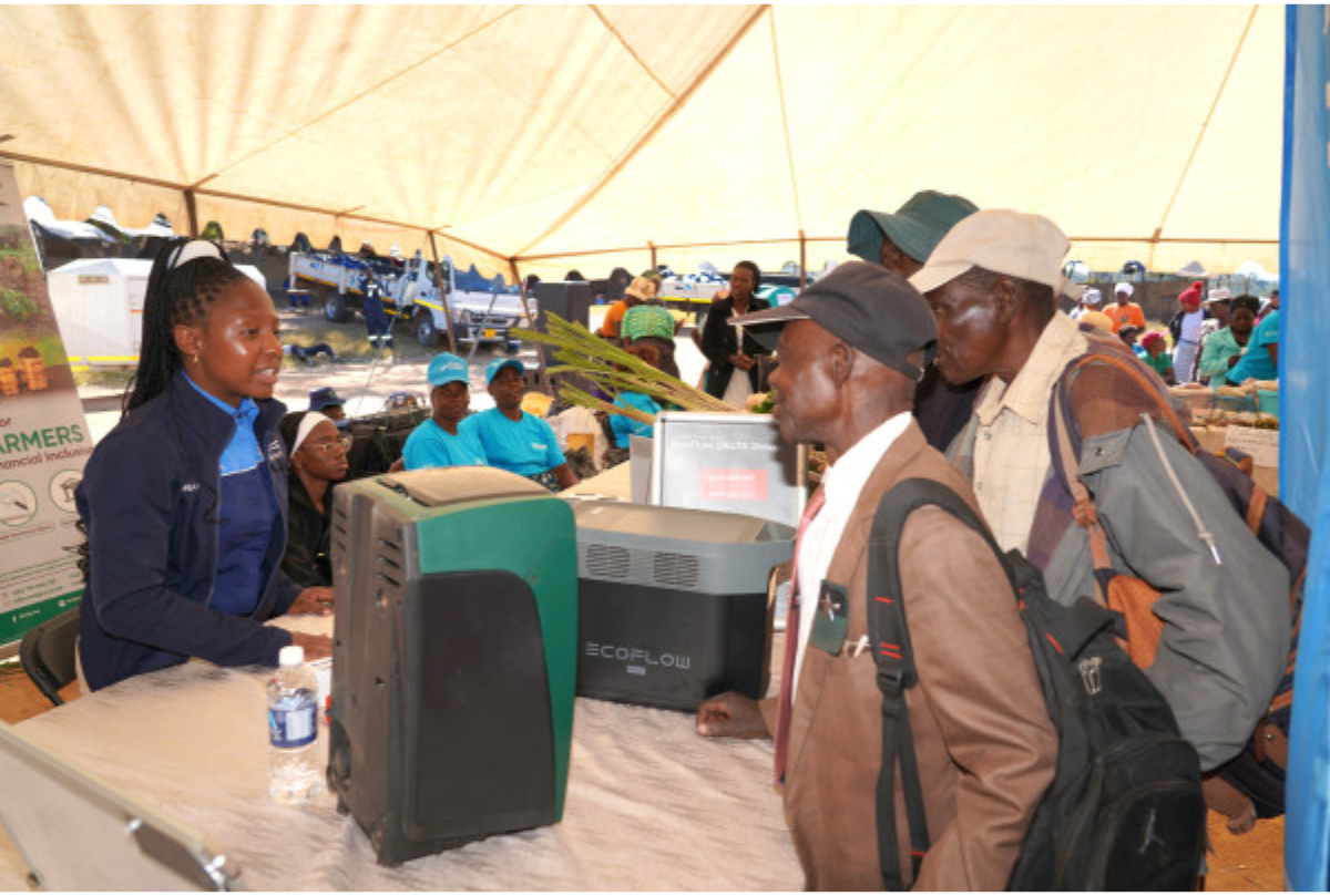 Zimbabwean farmers embrace AI and digital tools through FAO-led rural initiative - NewZimbabwecom