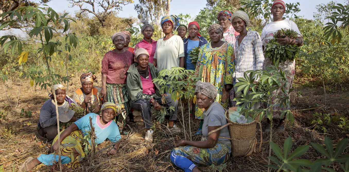 33 million women grow food on plots in sub-Saharan Africa Greener farming can boost their earnings