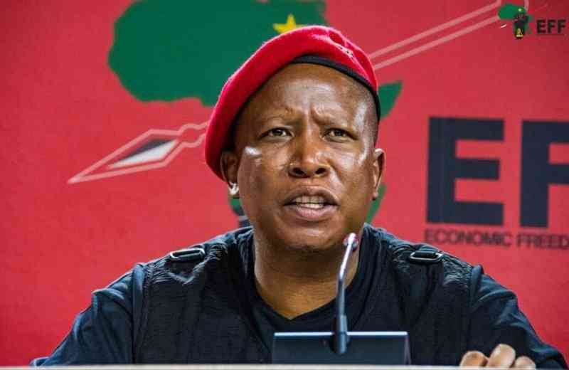 Malemas call for Zimbabweans in SA to seek jobs in their country signals policy shift - analyst