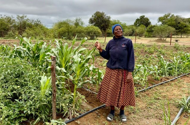 but challenges of succession ahead in Masvingo province land reform sites Zimbabwe