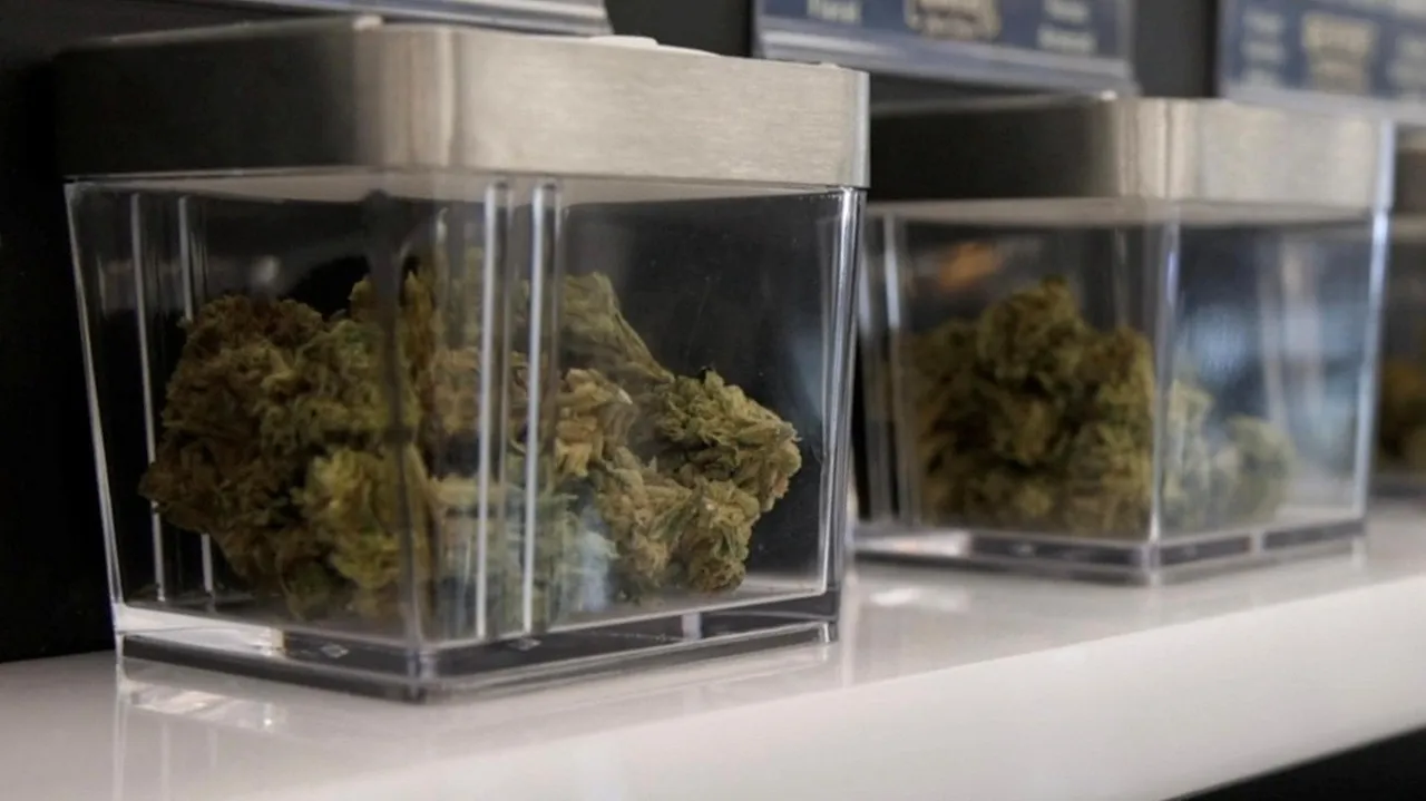 Court strikes down restorative justice aspect of NYS cannabis law - Newsday
