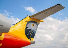 Zimbabwe Air Travel Stuck in the Slow Lane