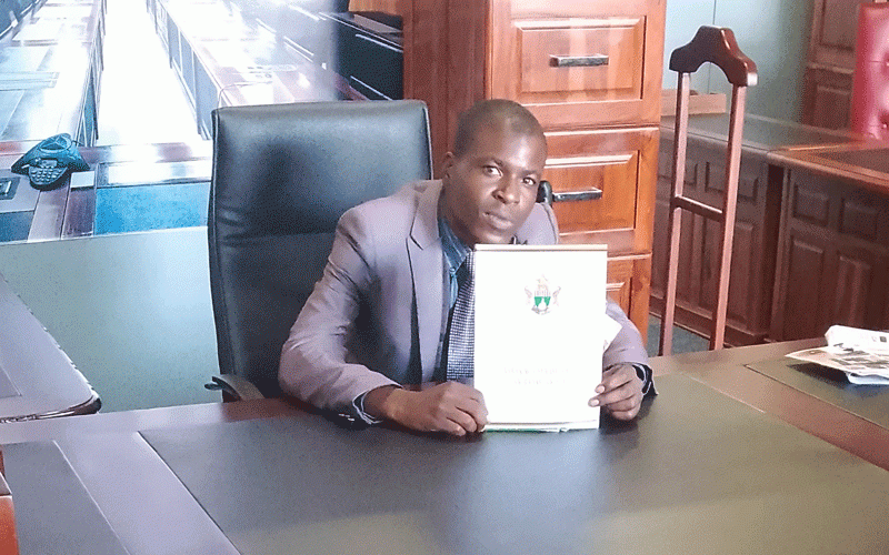 Bulawayo authors cry out for support Government private sector urged to act