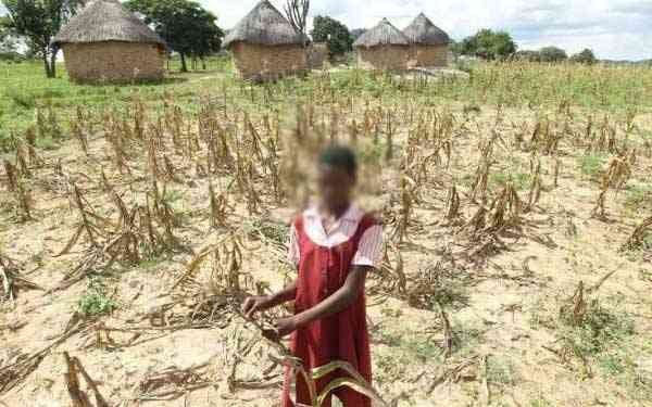 Climate change is real be alert