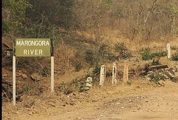 Marongora shooting Deceaseds ghosts haunt Akashinga workers