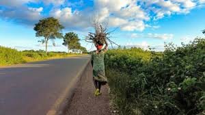 Empowering rural women through energy A development imperative