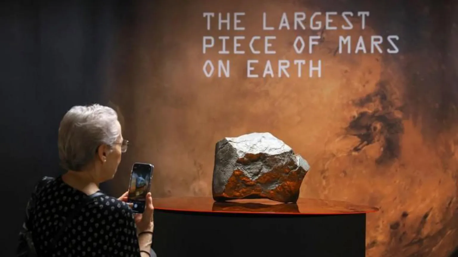 Mars rock found in Niger sells for millions in New York - now the country wants answers - NewZimbabw