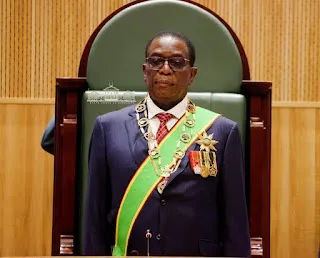 Mnangagwas 2028 Exit You Can Be the Next President ZimEye
