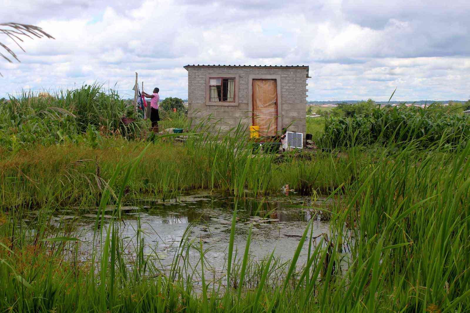 Harare under fire over wetland destruction