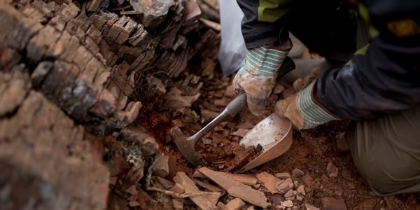 Unlocking Zimbabwes Mineral Wealth Starts with Funding Our Own Exploration