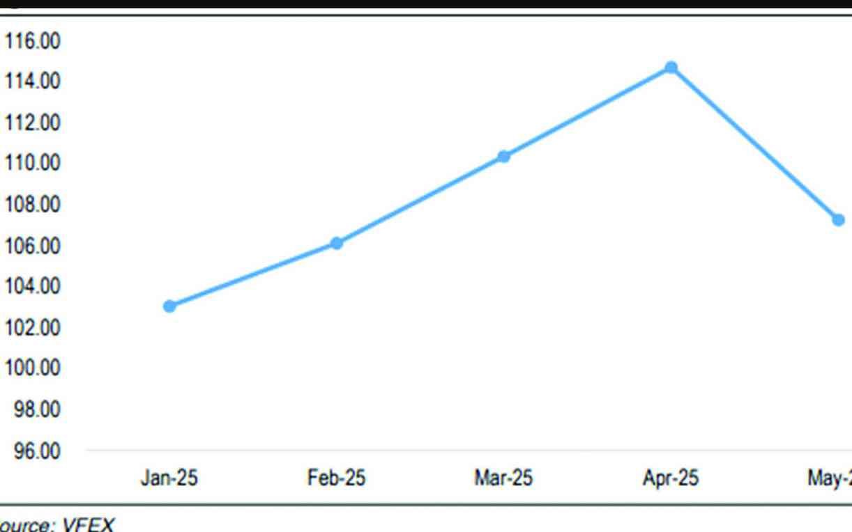 Why Zim must list its US21bn debt Bgoni