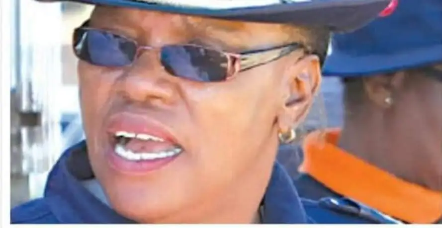 ZRP Cop Attacking Nelson Chamisa Caught In The Act ZimEye