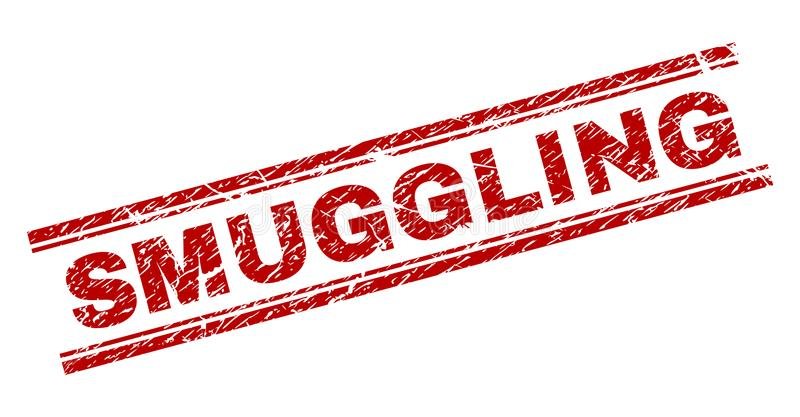 Police recover 143 stolen luxury cars in Zimbabwe as they bust smuggling syndicates in crackdown