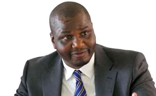 Mukuhlani hits back at Coltart over racism allegations