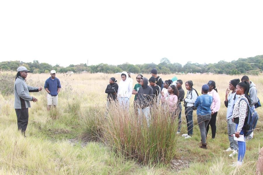 Wetland preservation promotes healthy ecosystems in Zimbabwes capital - NewZimbabwecom