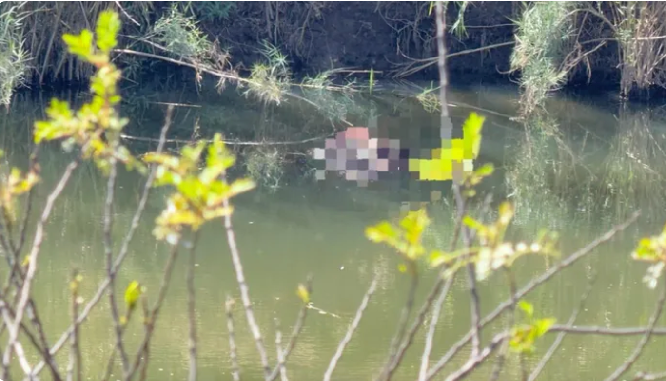 Mystery as bodies of three Zimbabwean men found floating in Mpumalanga river - NewZimbabwecom