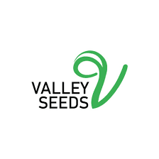 Valley Seeds primed for 2025/26 planting season