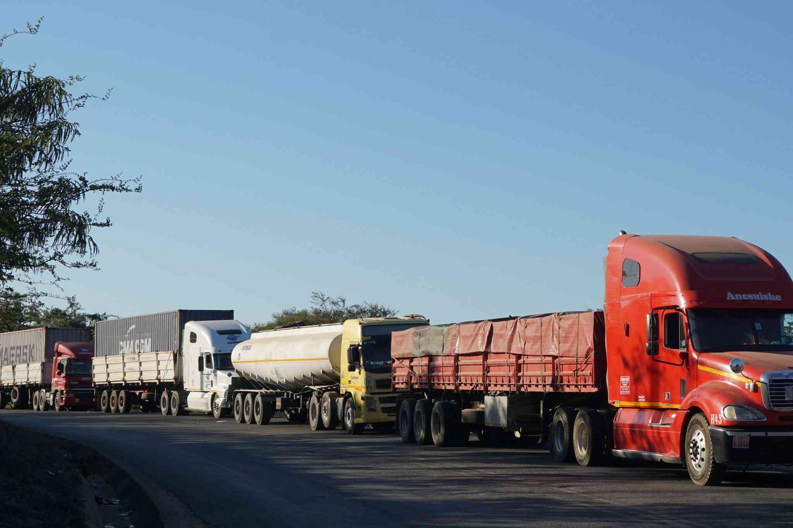 NECs must influence poly formulation: Dinha.