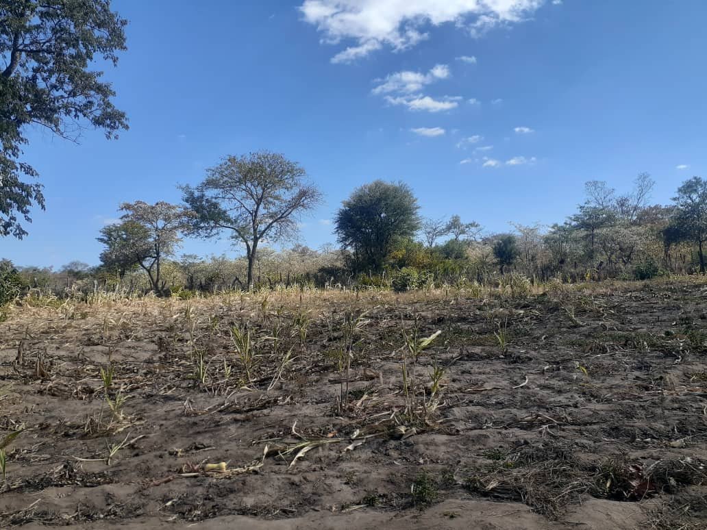 Lupane villagers struggle to adapt as climate change deepens drought crisis