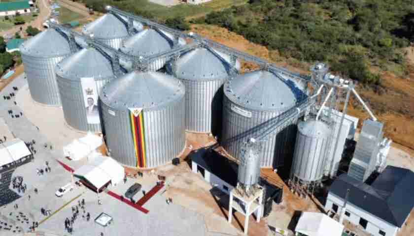 Maize import U-turn shows the cracks in Zimbabwe’s liberalised grain market