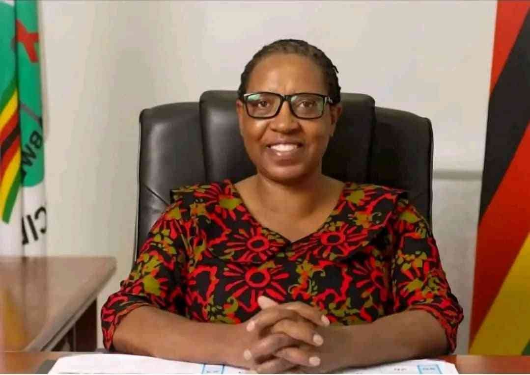 Mafume pokes holes in murky Hre pension fund