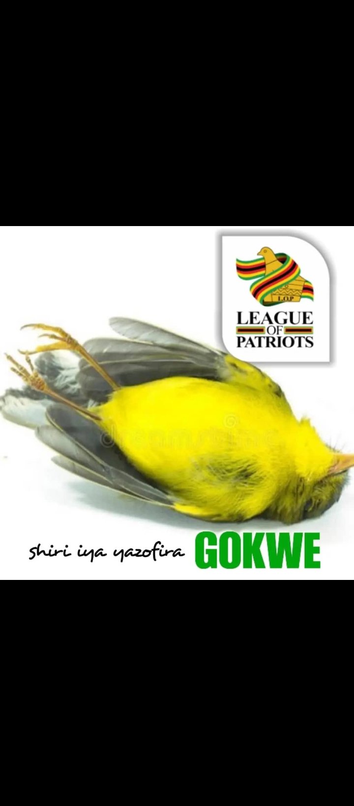 Open letter to Simba Chikanza for false and malicious allegations against CIO DIRECTOR-GENERAL Fulton Mangwanya