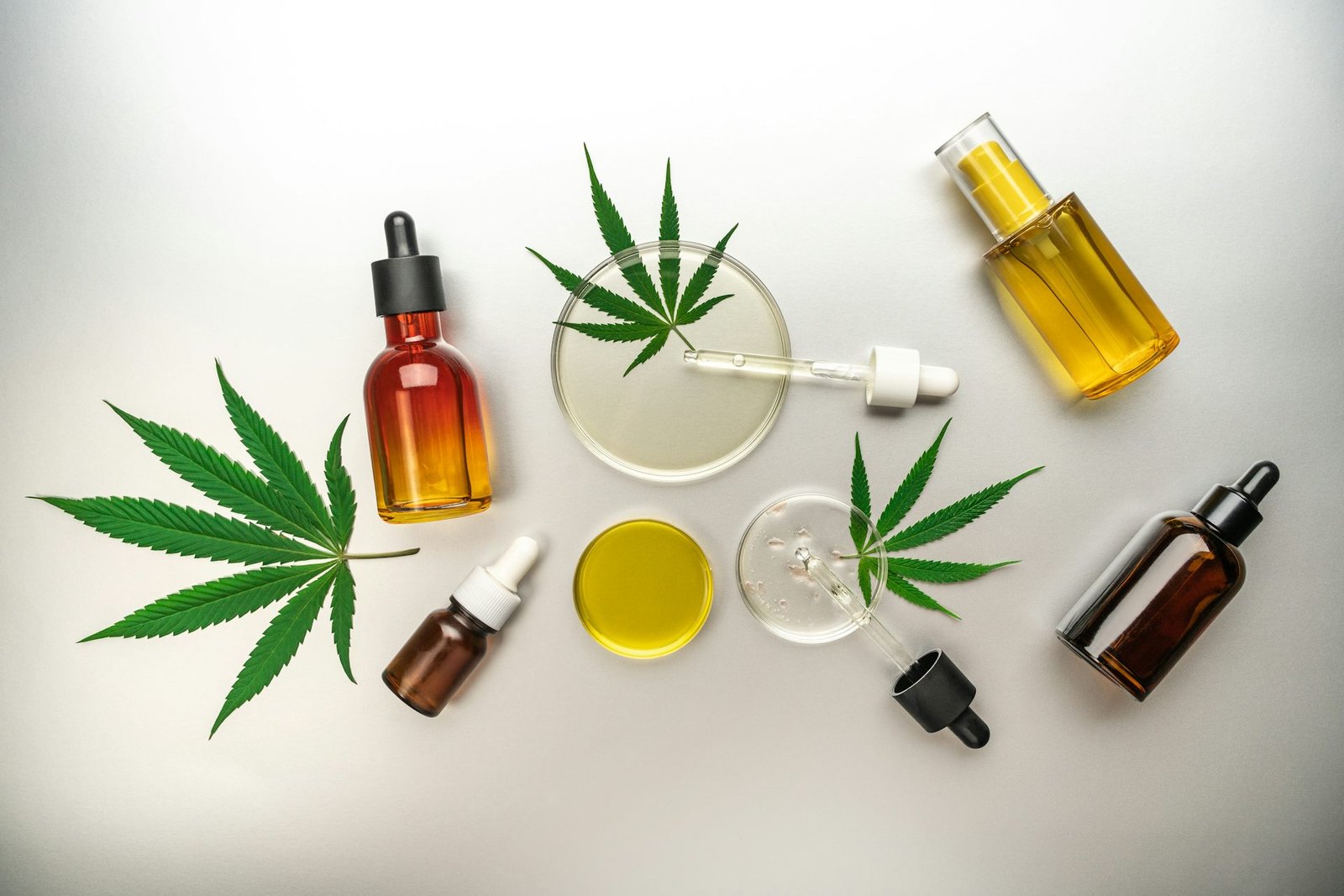 Cannabis boom in South Africa and Zimbabwe is good for wealthy investors, bad for small farmers