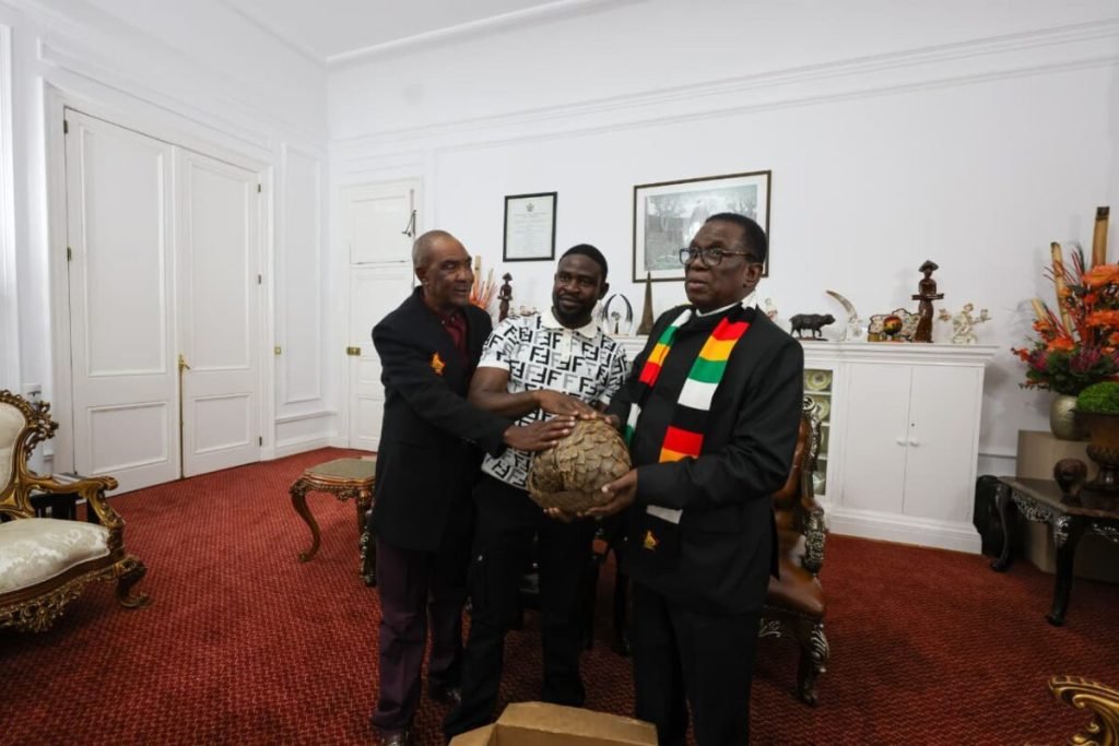 ZIFA blocks PSL plan to freeze relegation, insists four teams must go down