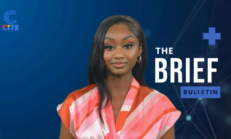 Ministry moves to reduce traffic impact on Hwange wildlife corridors