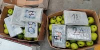 GLOBAL DRUG TRAFFICKINGDrugs worth R4.3bn hidden in 2022 fruit exports spark bail battle in India and fraud accusations in SAByCaryn Dolley