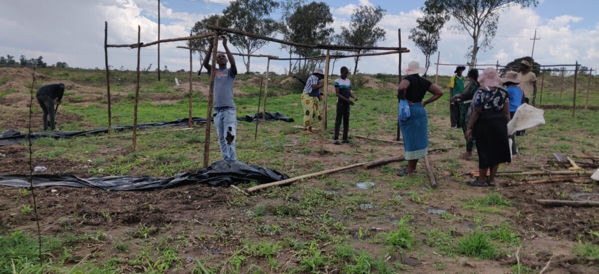 Parliament throws out petition by Magwegwe West stand beneficiaries