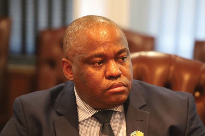 DCEC places Mzwinila under immigration watch