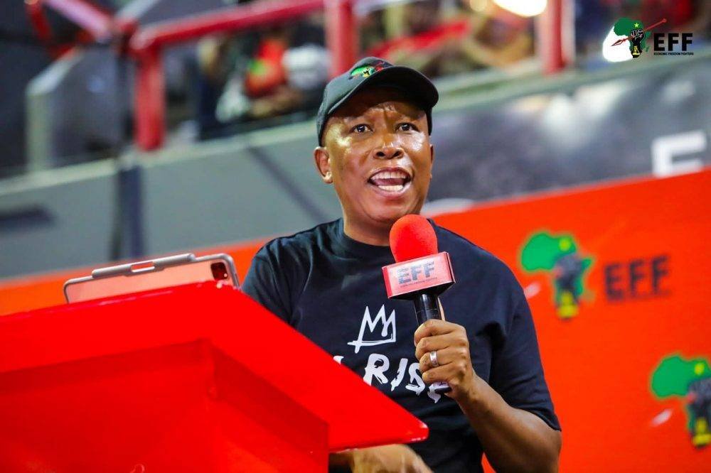 Malema: EFF will vote with MK party to remove Thami Ntuli as KZN premier