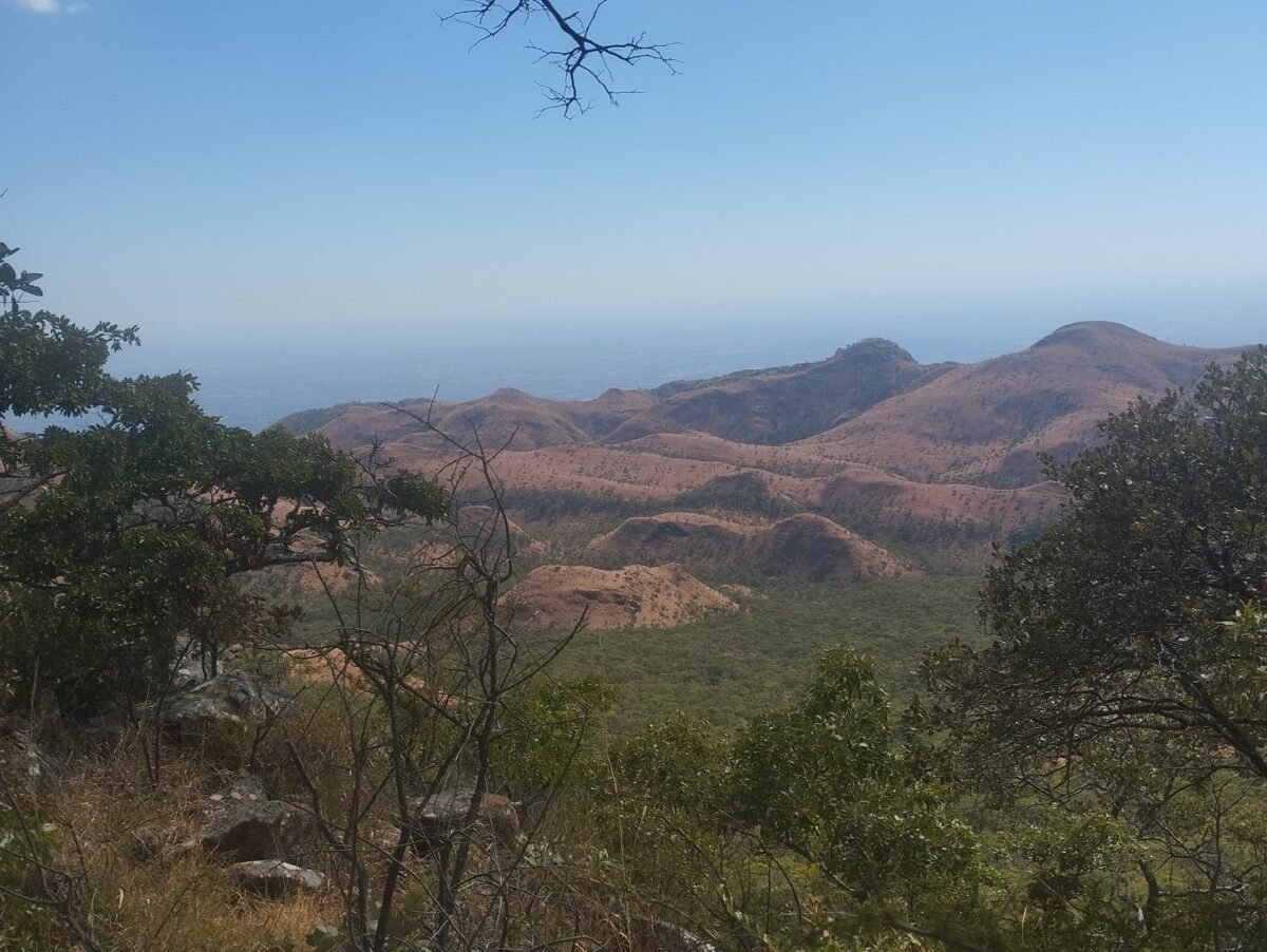 A free for all: Chinese miners vandalise one of Zimbabwe’s most iconic natural reserves