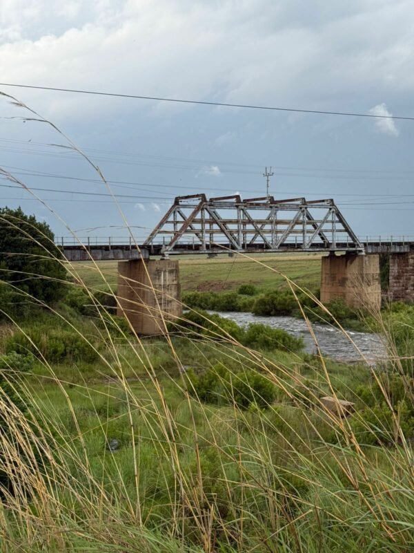 Middelburg train bridge: Sluice water sparks drowning search