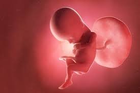 Bulawayo mayor warns abortion law amendments could harm families and children
