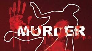 Mhondoro Man Beaten to Death Over Donkey Theft Allegation