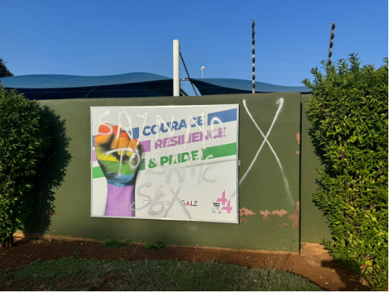 Advocates for LGBTQI rights face online backlash in Zimbabwe