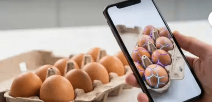 Customer Uses Gemini Nano To Crack 20 Eggs Straight In A Tray, Gets Refund From Instamart In Viral Post