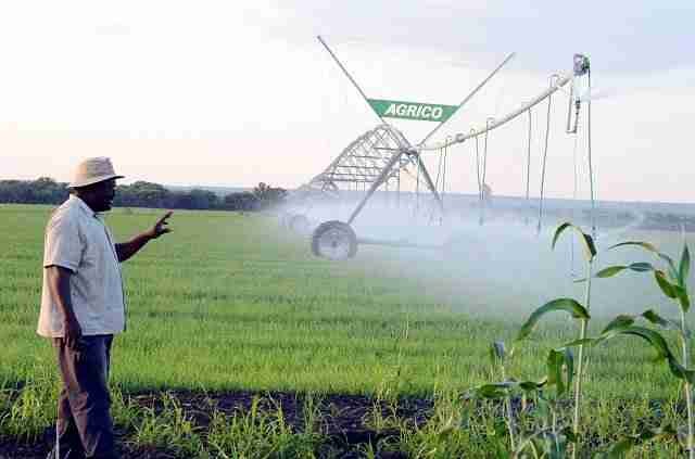 Zimbabwe’s biggest farm lender wants measures to counter surging global fertiliser…