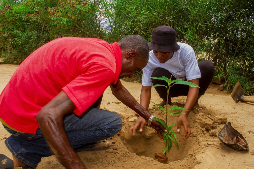 #ThrowBackThursday: Zimbabwe’s National Tree Planting Day took root in 1980