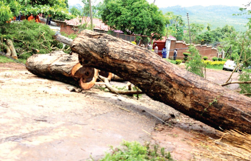 Malawi launches twice-yearly HIV jab