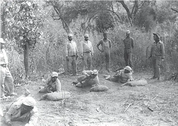 The ZIPA debacle and the ZPRA nightmare