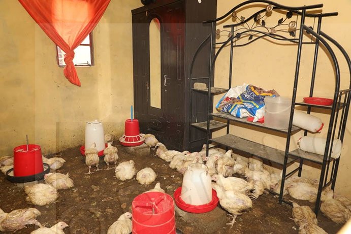 Farmers call for government assistance