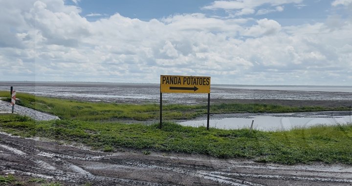 Pandamatenga farmers count losses following