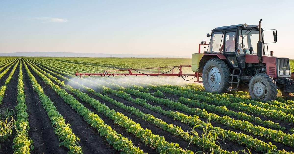 Release of state-owned land must be fast-tracked