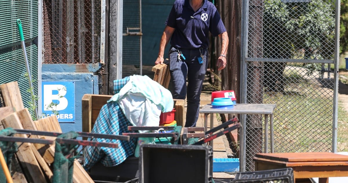 More questions than answers in SPCA debacle