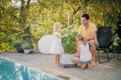 What’s trending for gardeners in 2026?